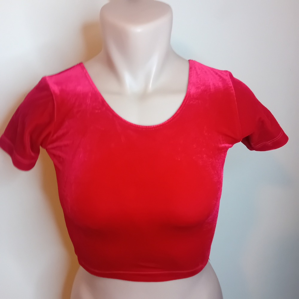 NWT Y2K American Apparel Velvet Crop Top Short Sleeve Tee Shirt Bloody Red‎ XS - Picture 2 of 16